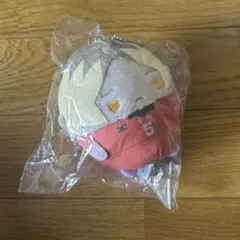 ハイキューくじ