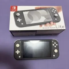 Nintendo Switch Lite グレー 本体　状態良好