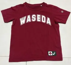 【asics】WASEDA Tシャツ 130のサムネイル
