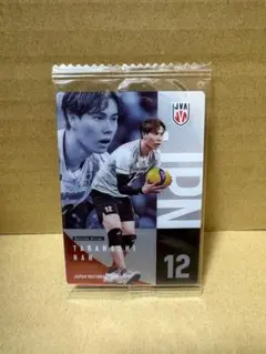 バレーボール男子日本代表ツインウエハース2026 高橋藍