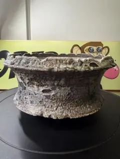 手作植木鉢 W14cm 検（ 塊根植物 グラキリス パキプス アガベ) - メルカリ