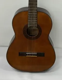 BEBBOT Alegre ギター FG Semi-Ovation - メルカリ
