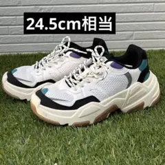 ベルシュカ ダッドスニーカー EU39 (24.5cm相当)のサムネイル