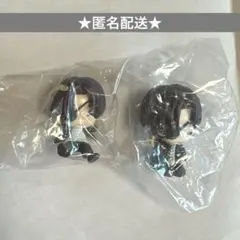 WINDBREAKER 蘇芳 セット