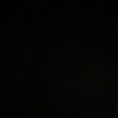 専用