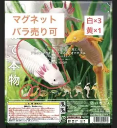 ネイチャーテクニカラーMONO+ ウーパールーパー