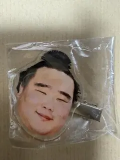 白熊　ヘアクリップ