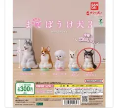 Item thumbnail for item a5d7fa20-bd7d-40fc-ae89-6392626f903d