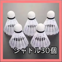 バドミントン バトミントン 中古 シャトル15個 - メルカリ