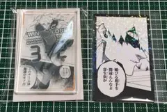 ブルーロック ドンキコラボ コマアクリルブロック イラストカード 國神錬介
