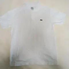 LACOSTE ホワイト ポロシャツ 4
