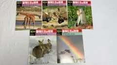 朝日百科　動物たちの地球　10冊セット14セット 週刊朝日百科 動物たちの地球 【全144冊揃い】専用ファイル