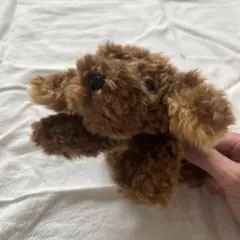 モンスイユ　パプス　仔犬　トイプードル　ぬいぐるみのサムネイル