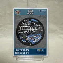 2026年最新】栃木県マンホールカードの人気アイテム - メルカリ