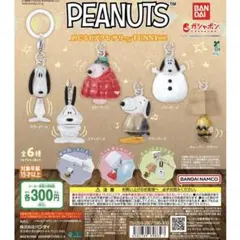 ピーナッツ/めじるしアクセサリー/コンプリートセット④