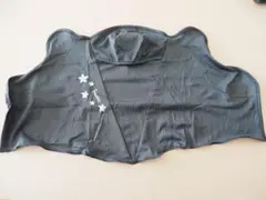 Item thumbnail for item 6f273b2f-73b3-4612-a623-c496ea0768bf