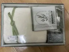 Item thumbnail for item b83792ce-02ee-4f08-9143-aa97c00c10e3