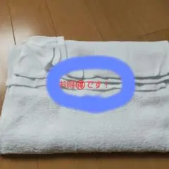 お得!！タオル4枚まとめ売り 新品未使用(33×76cm)、袋入り