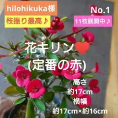 hilohikuka様 リクエスト 2点 まとめ商品