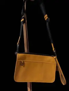 Item thumbnail for item f4a50ccf-3af8-4746-a06a-5a7b19e301ac