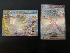 ゲッコウガ ２枚セット