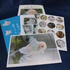 Item thumbnail for item 9f7867a5-6efa-4e0e-bb4d-d5fdbac0530f