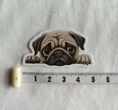 Item thumbnail for item 117bcc3b-b156-477f-9895-9a7595b211e4