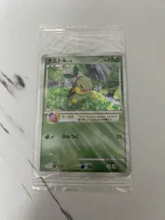 【未開封】トレーナズクラブプロモ　プレイヤーズ ナエトル　ヒコザル　ポッチャマ