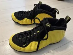 NIKE AIR FOAMPOSITE ONE エアーポジット 28.0