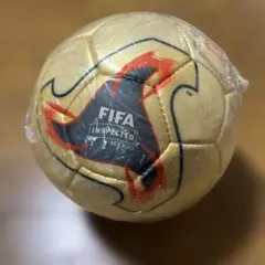 FIFA World Cup 2002 JFA 検定球 サッカーボール