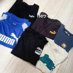PUMAなどの半袖Tシャツ