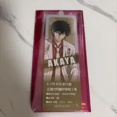 切原赤也 缶バッジ テニプリスト 希少】新テニスの王子様 切原赤也 缶バッジ テニプリスト - メルカリ