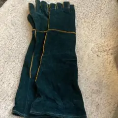 Item thumbnail for item 8cd6cc70-c21b-479c-9a13-7329b1e03229