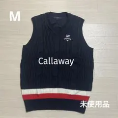 Item thumbnail for item 8c699b06-793f-4f39-ab82-49d521867ded