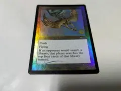 MTG Aven Mindcensor Foil プロモ 1枚