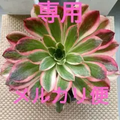 がーべら様 リクエスト 3点 まとめ商品