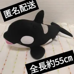 神戸須磨シーワールド シャチ オルカ くじ バレンタイン限定カラー