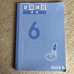 2026年最新】6年 夏期講習 四谷大塚の人気アイテム - メルカリ