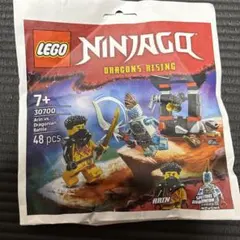 LEGO NINJAGO 30700