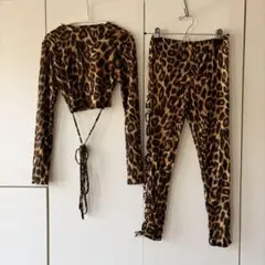 ベリーダンス　セットアップ