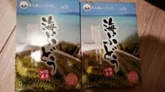 ☆完熟糖度22度岩手県産山ぶどう原液ジュース360ml1本 - メルカリ