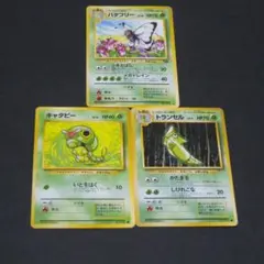 バタフリー ◆ 第2弾拡張パック ポケモンジャングル　進化ライン３枚セット
