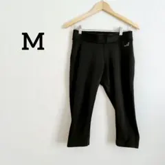 Item thumbnail for item 9dae55dd-f7a5-4597-b0fd-ee3b0dc13f93