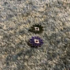 スキー　バッジテスト　ピンバッジ　2点