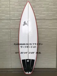激レア Kane Garden サンディエゴ ロングボード フィッシュ 9'0 - メルカリ