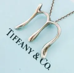 【在庫処分セール】ティファニー イニシャル ネックレス M ロングチェーン 在庫処分セール】ティファニー イニシャル ネックレス M ロング