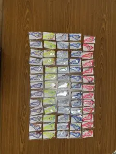 琵琶湖キーホルダー カプセルトイ