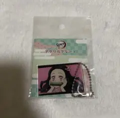 鬼滅の刃 全集中展 無限列車編・遊郭編 アクリルプレート キーホルダー竈門禰豆子