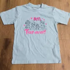 パウパトロール エベレスト スカイ 半袖Tシャツ 120cm 綿 新品未使用
