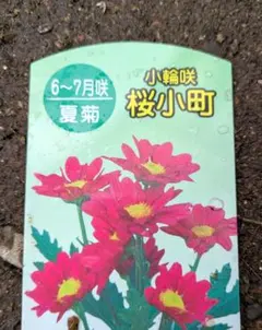 tomとram様 リクエスト 4点 まとめ商品
